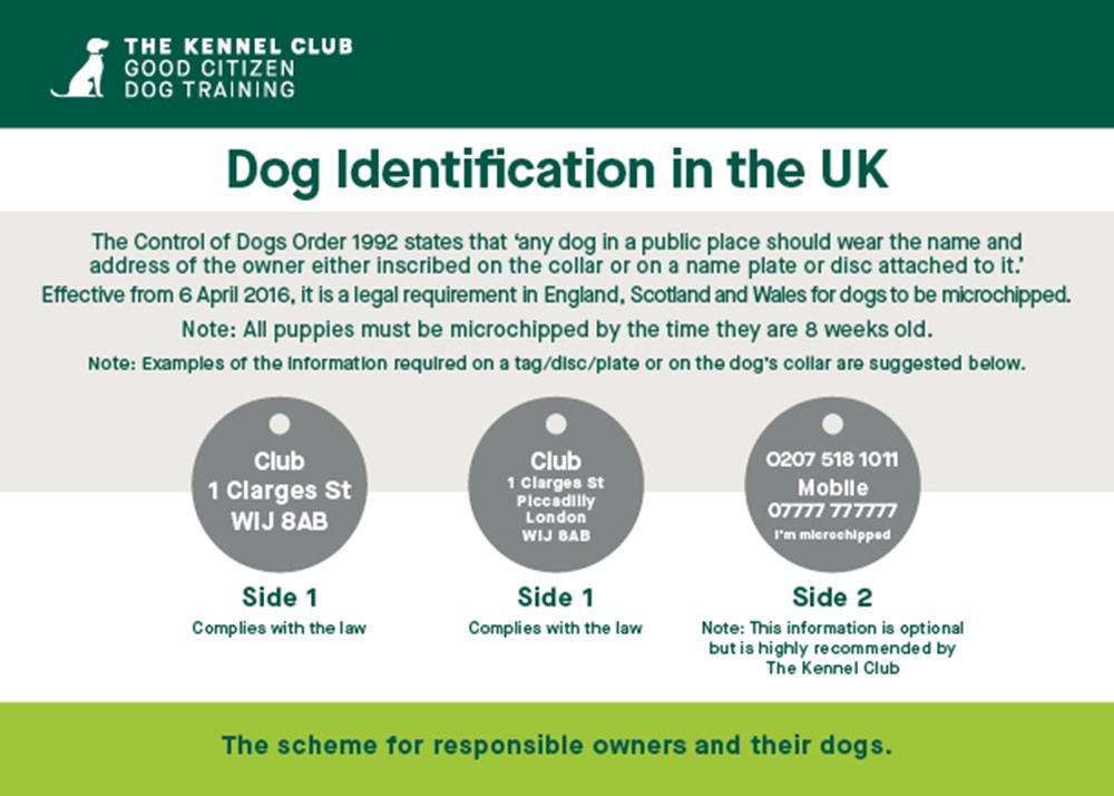 Dog identification chart that shows what to have on your tag